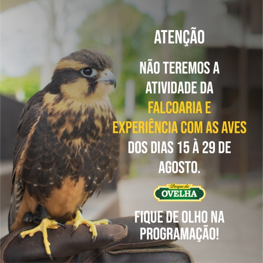 https://casadaovelha.com.br/produto/ingressos/ingressofamiliaatracoesdocronograma