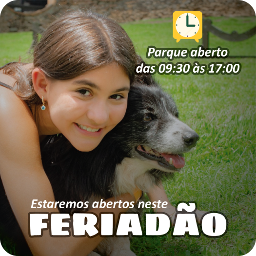 https://casadaovelha.com.br/produtos/ingressos