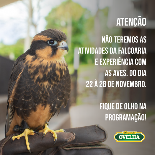 https://www.parquedaovelha.com.br/